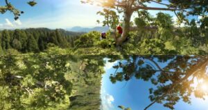 360° Giant Sequoias on a Changing Planet – Part 2  National Geographic