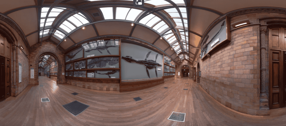 【360°全景VR】伦敦博物馆复活拉玛劳龙_超清 4K-【元宇宙素材】